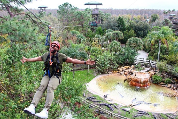 Gator Land Zipline