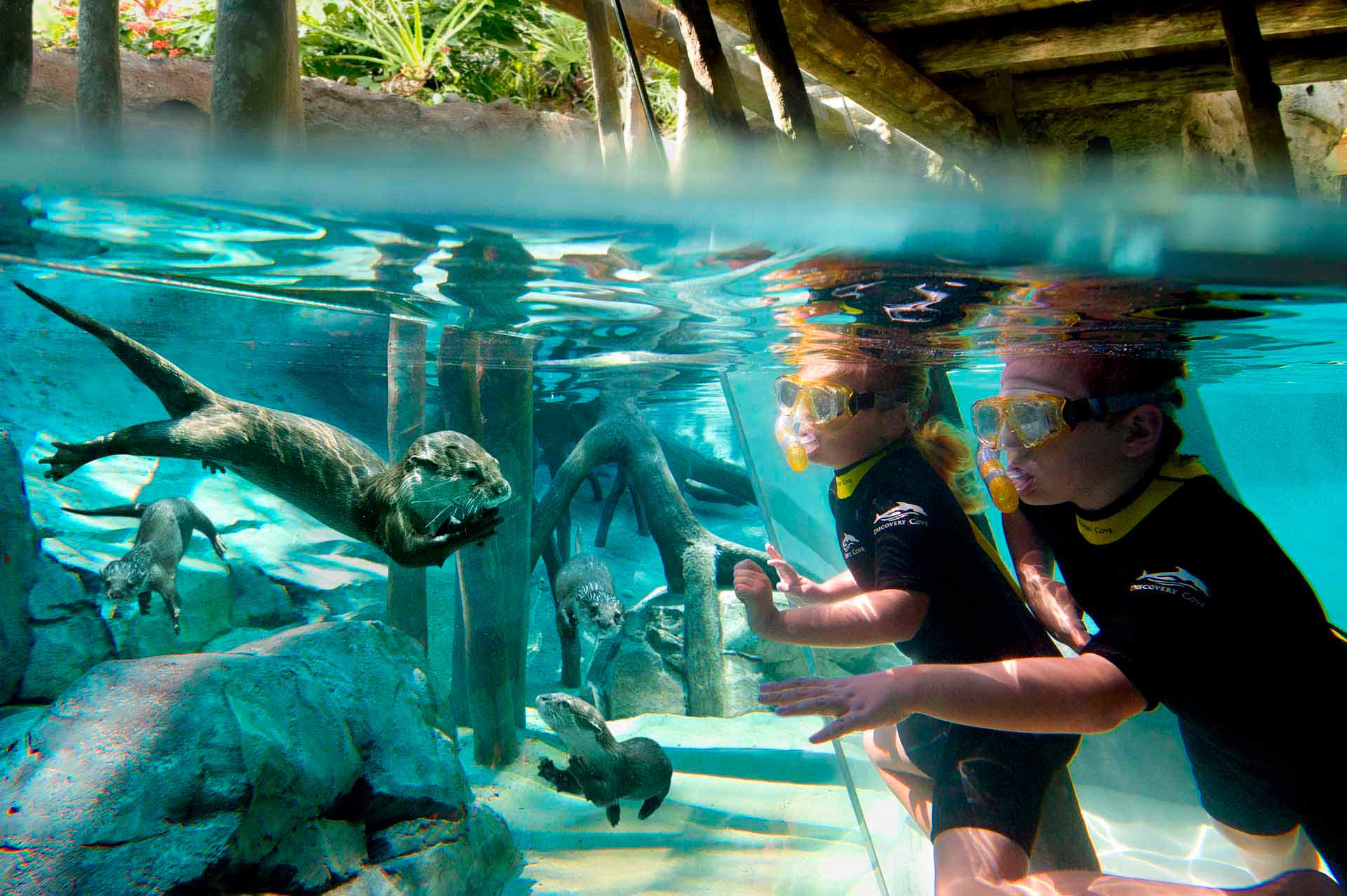 Discovery Cove