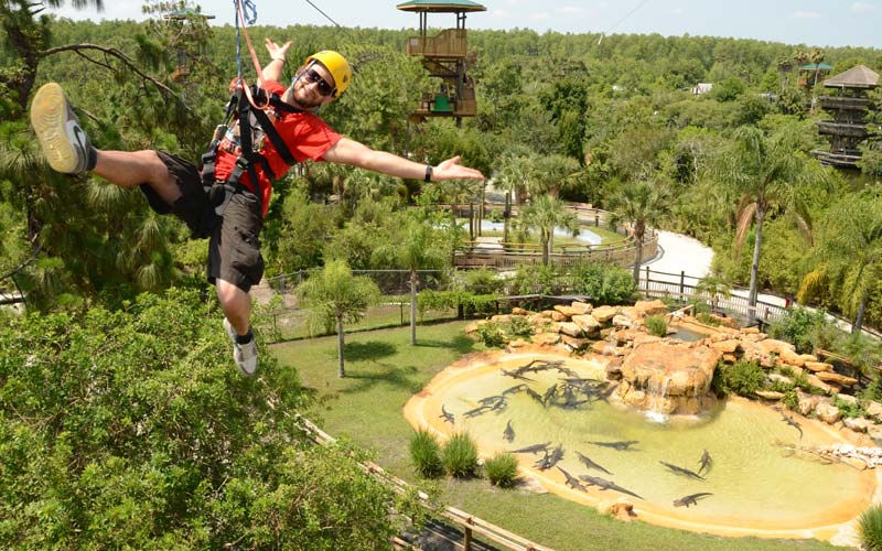 Gatorland Activity